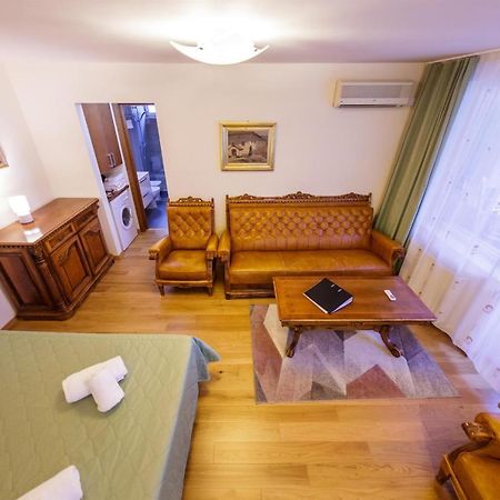 Apartament Family Rivulus 8 Baia Mare Luaran gambar