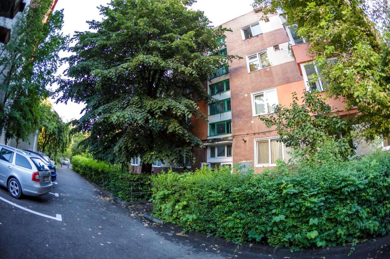 Apartament Family Rivulus 8 Baia Mare Luaran gambar